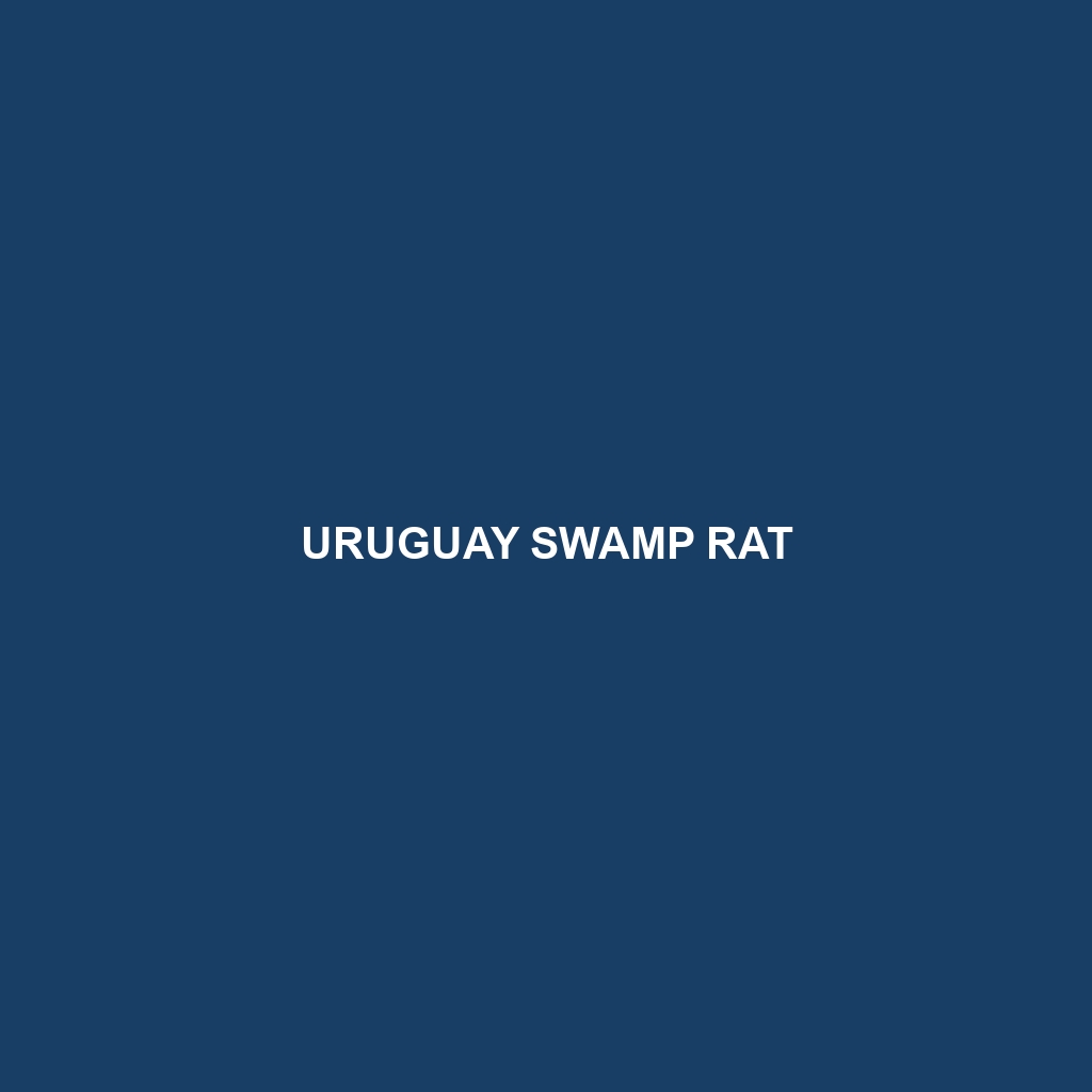 Argentinean Swamp Rat