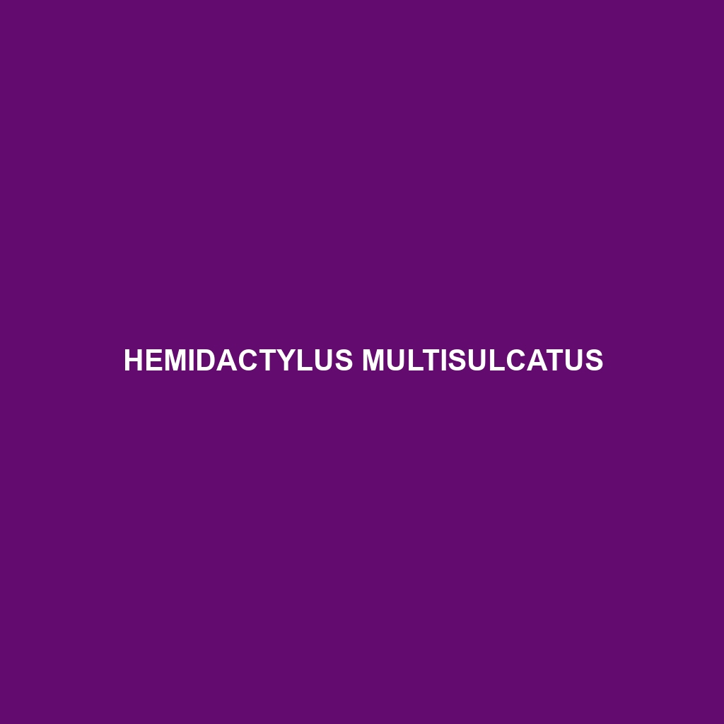 Hemidactylus multisulcatus