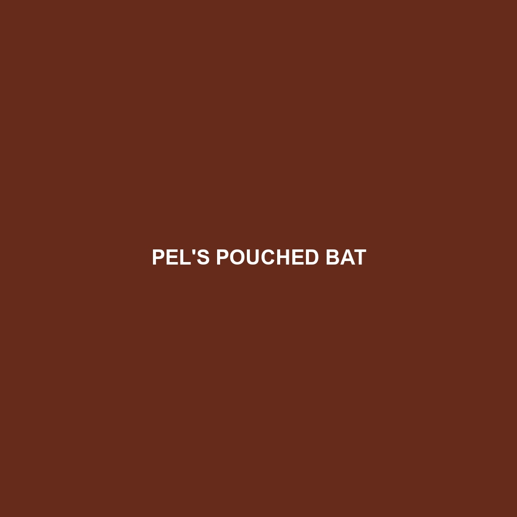 Pel's Pouched Bat