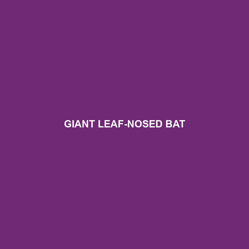 Giant Leaf-nosed Bat