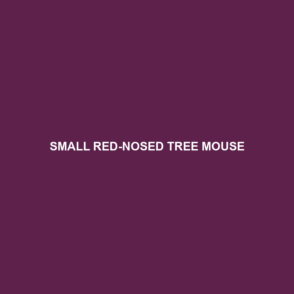 Small Red-nosed Tree Mouse