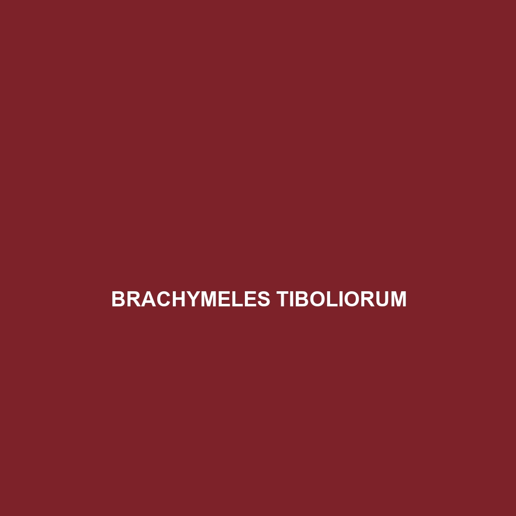 Brachymeles tiboliorum