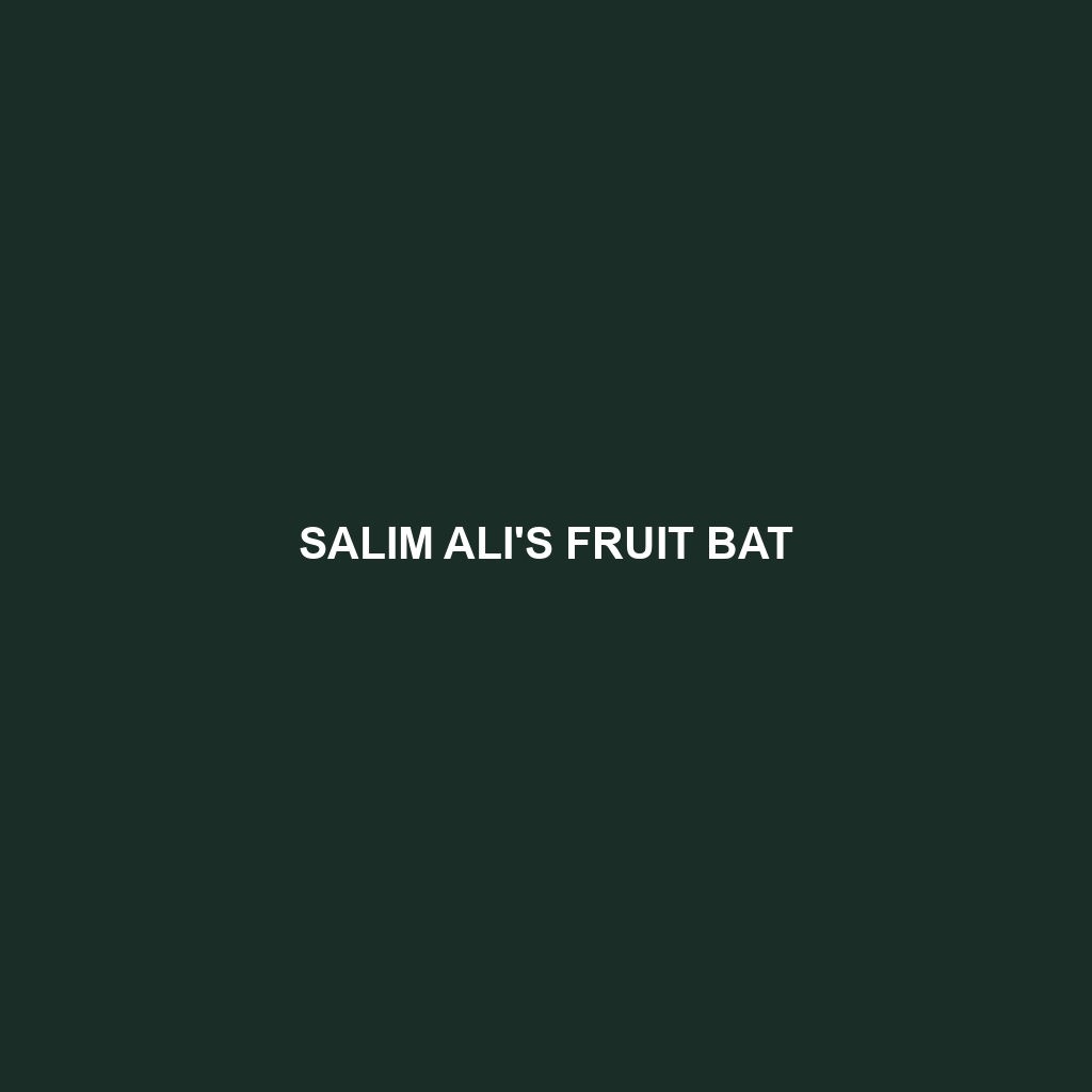 Salim Ali's Fruit Bat