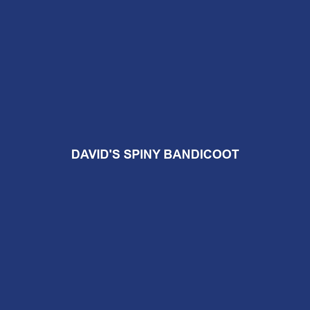 David's Spiny Bandicoot