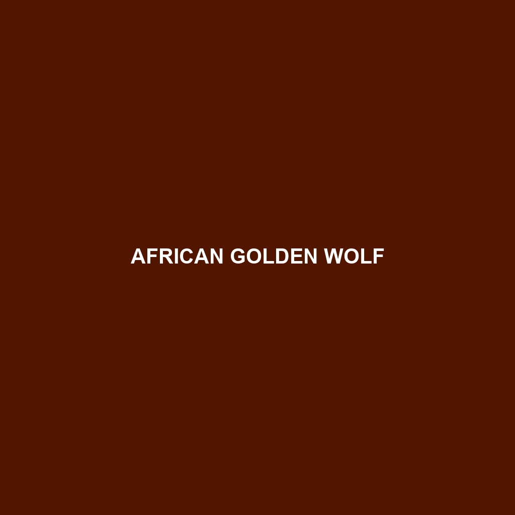 African Golden Wolf