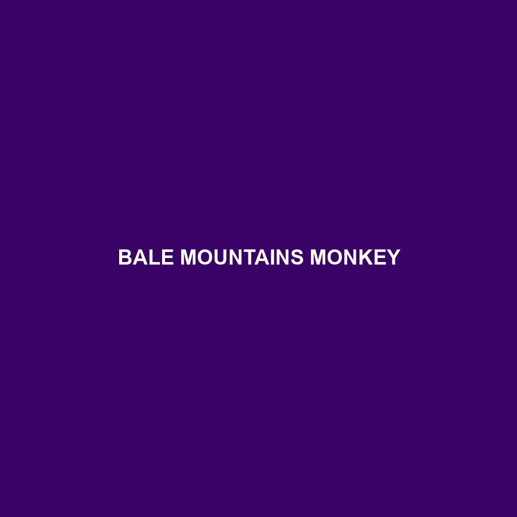 Bale Mountains Monkey