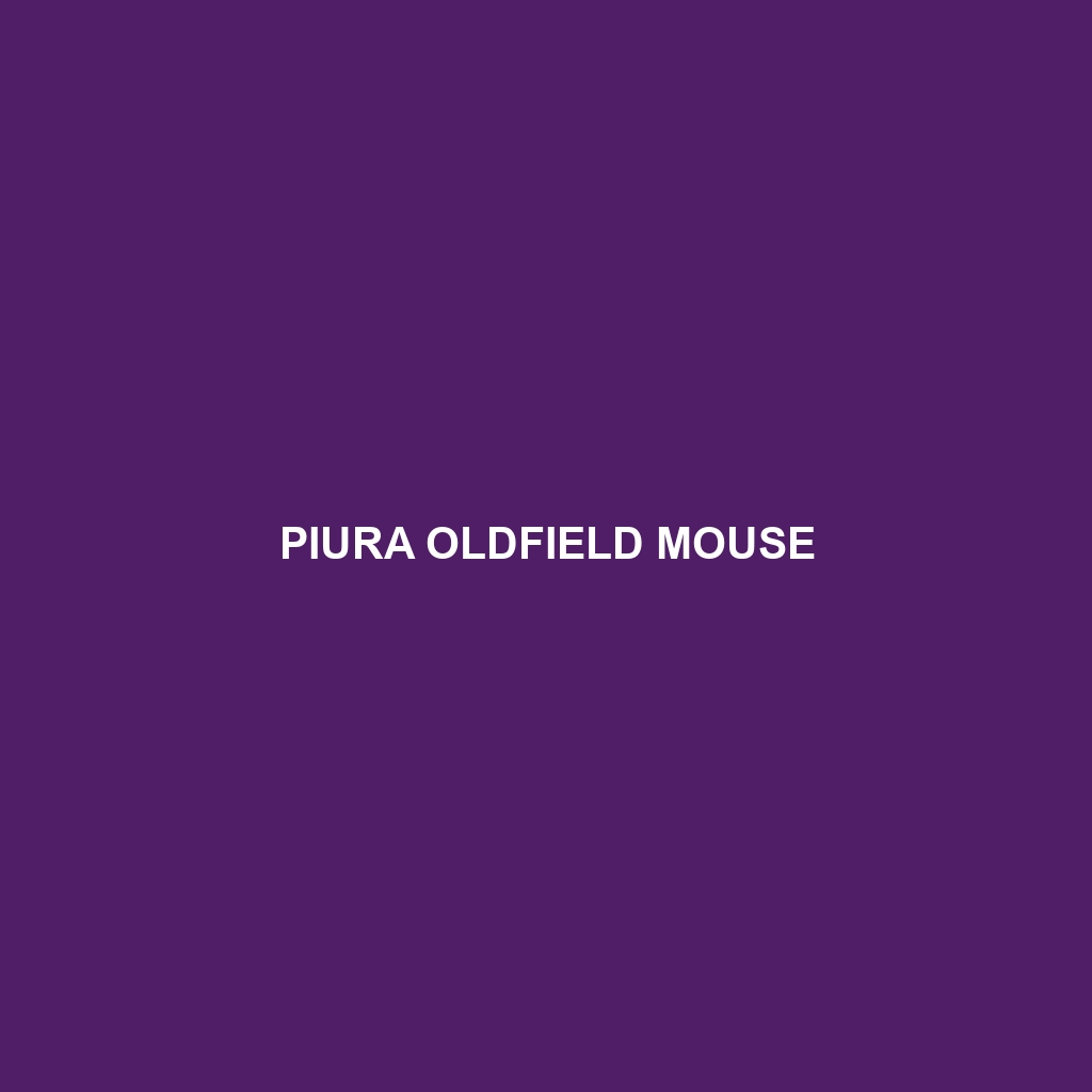 Piura Oldfield Mouse