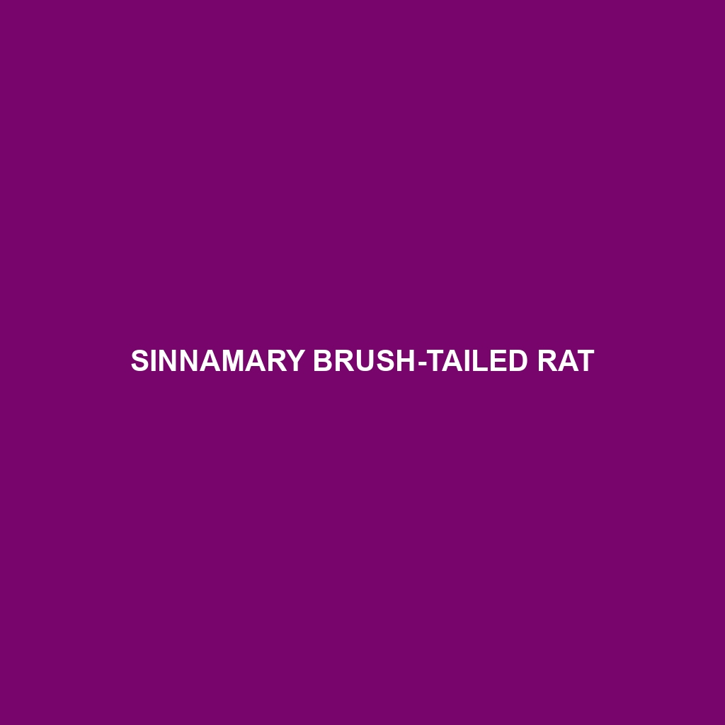 Sinnamary Brush-tailed Rat