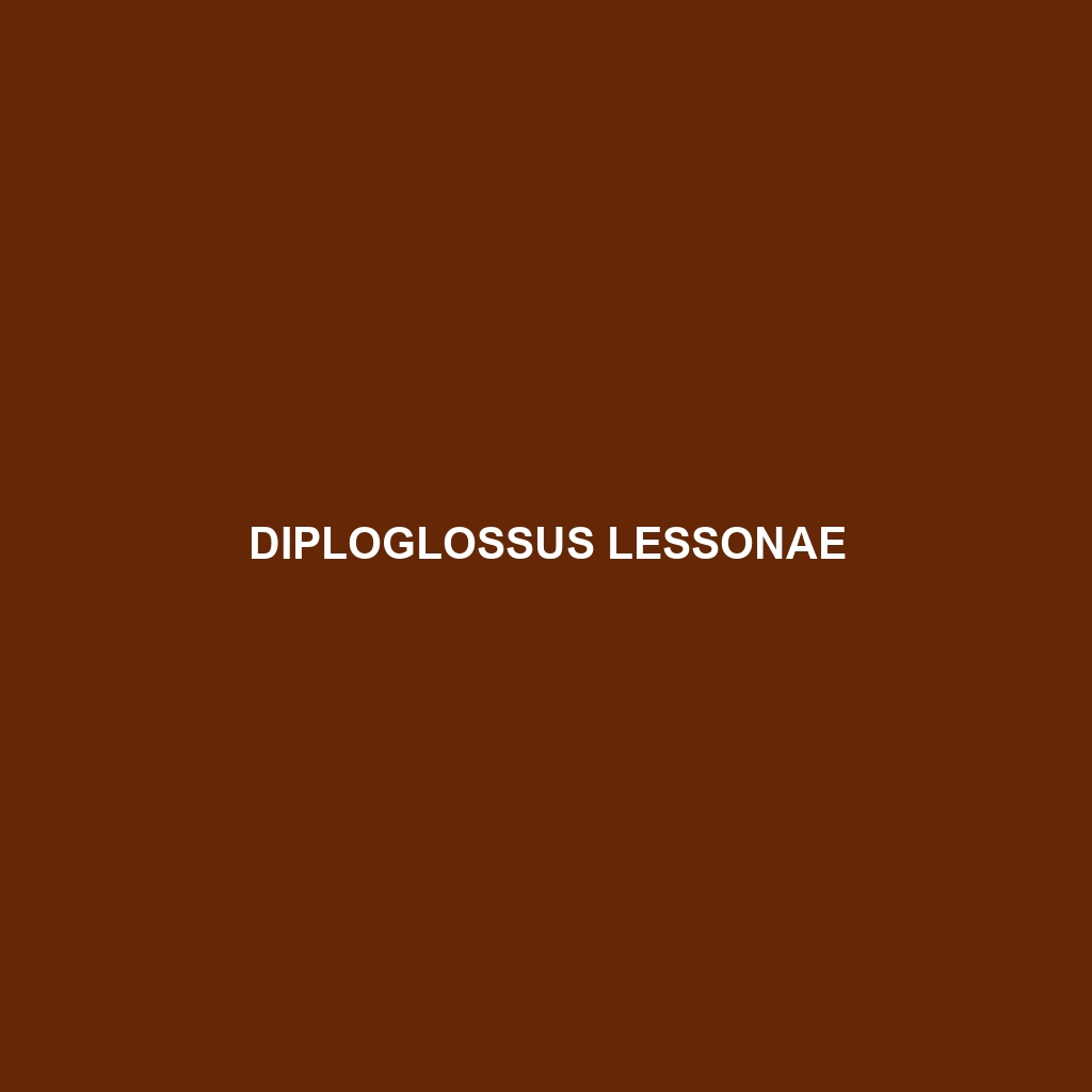 Diploglossus lessonae