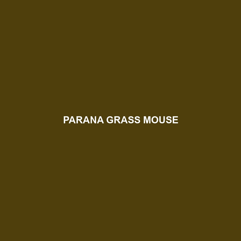 Parana Grass Mouse