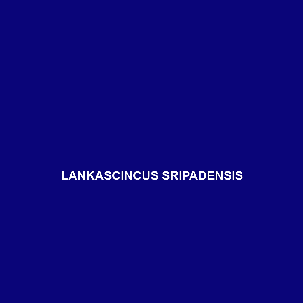 Lankascincus sripadensis