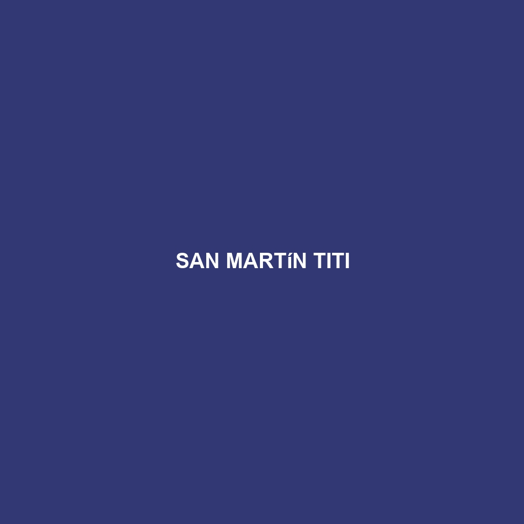 San Martín Titi