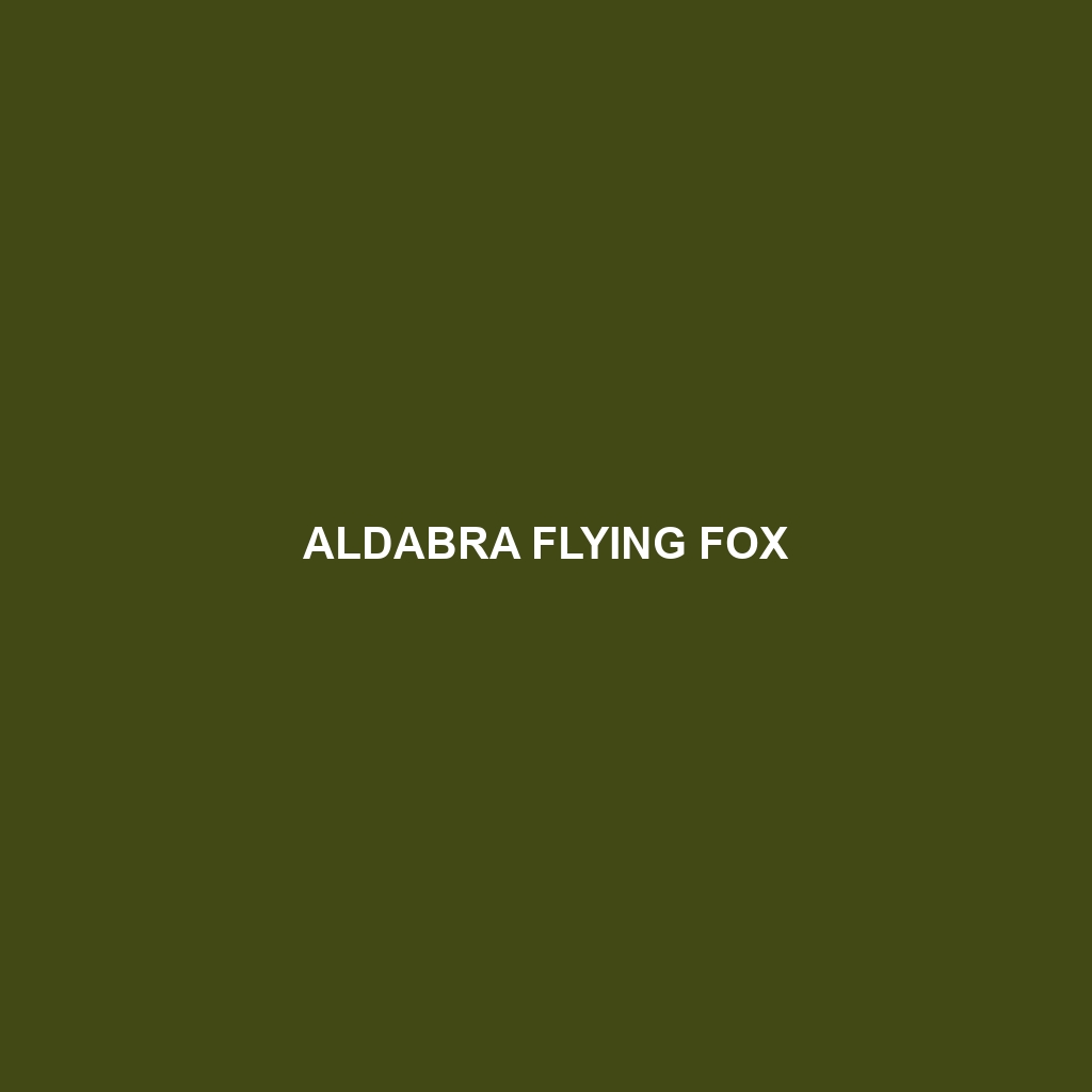 Aldabra Flying Fox