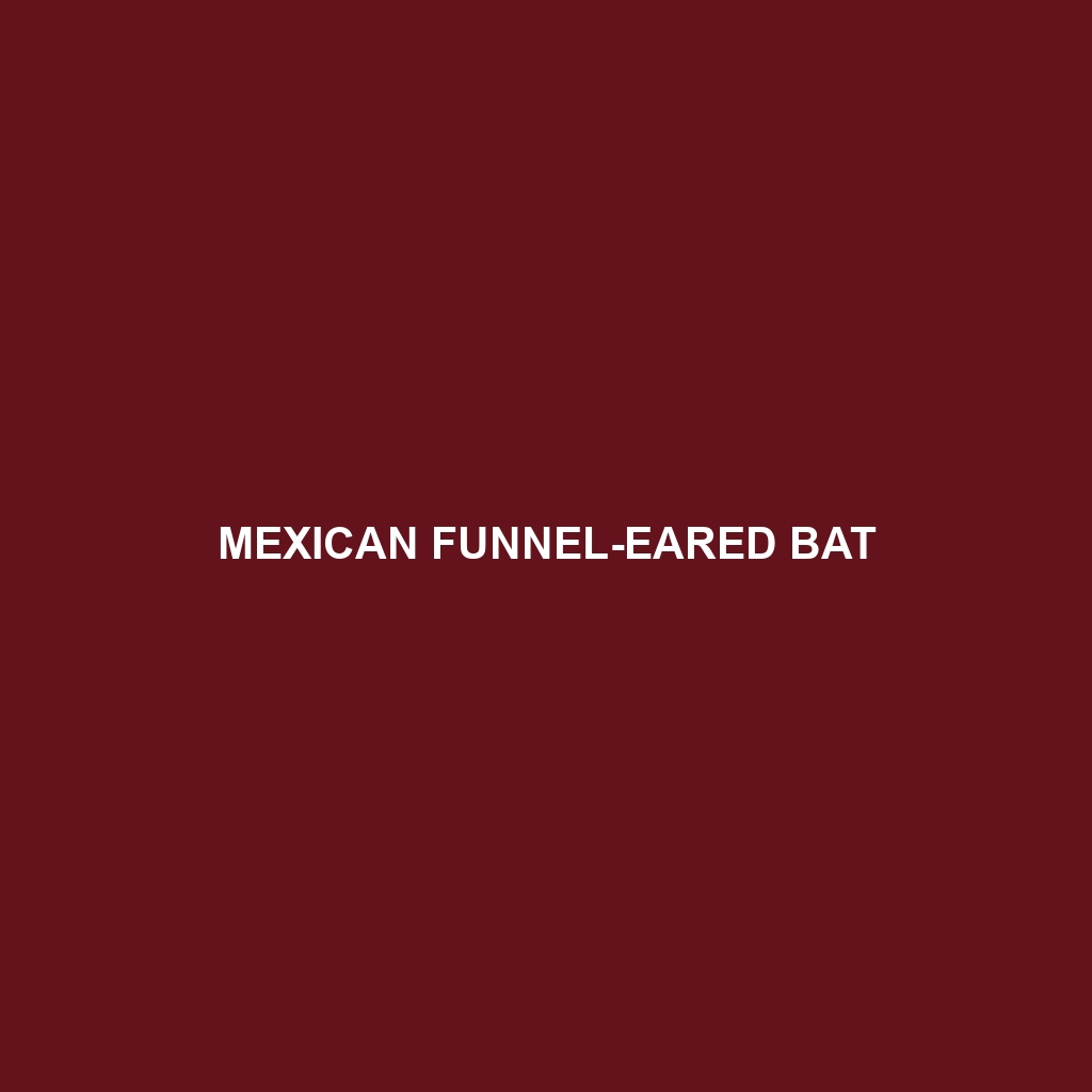 Mexican Funnel-eared Bat