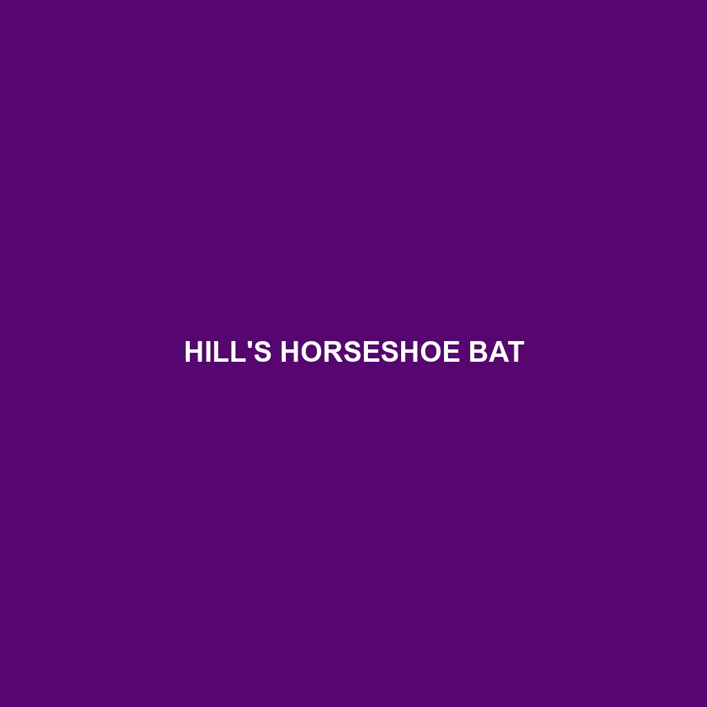 Hill's Horseshoe Bat