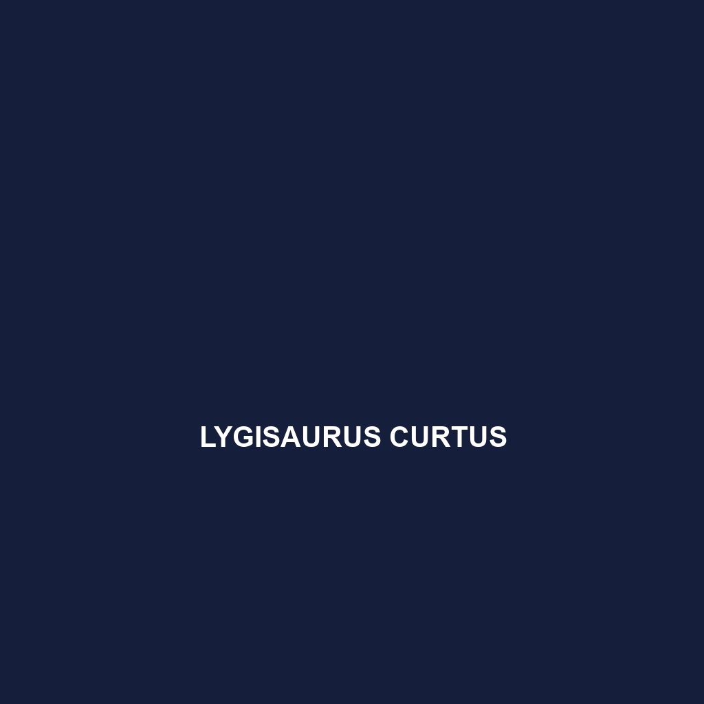 Lygisaurus curtus