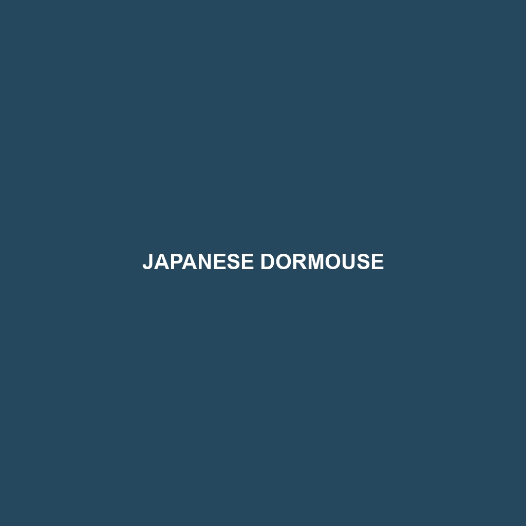 Japanese Dormouse