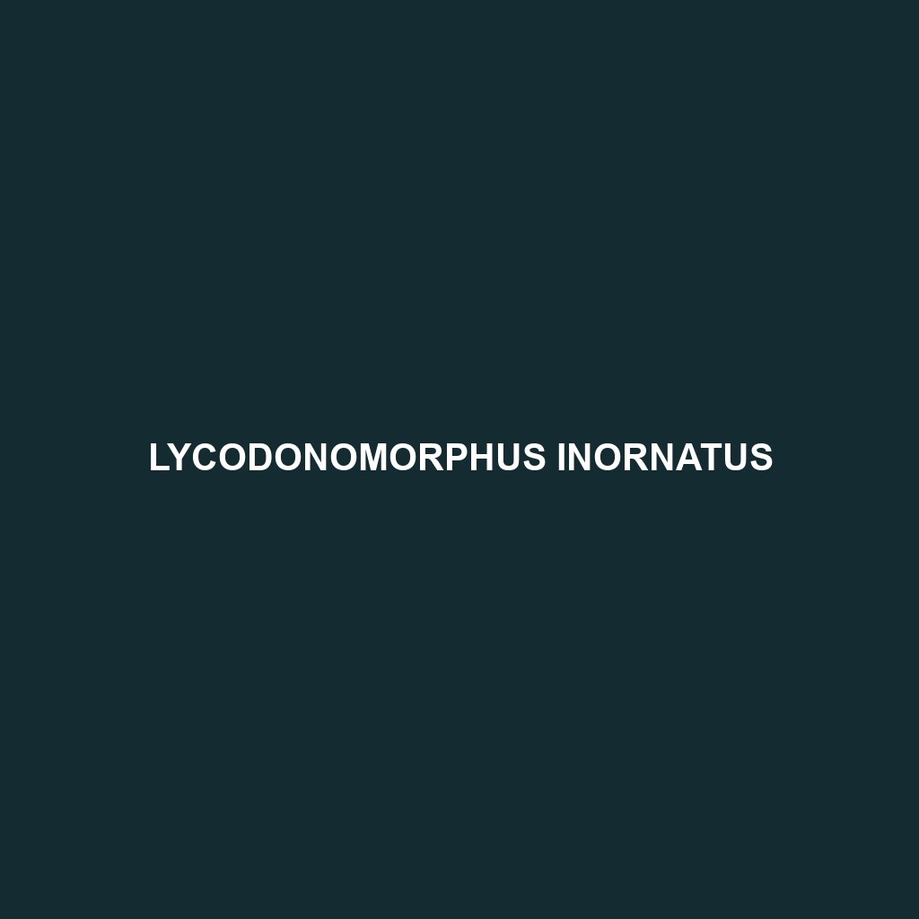 Lycodonomorphus inornatus