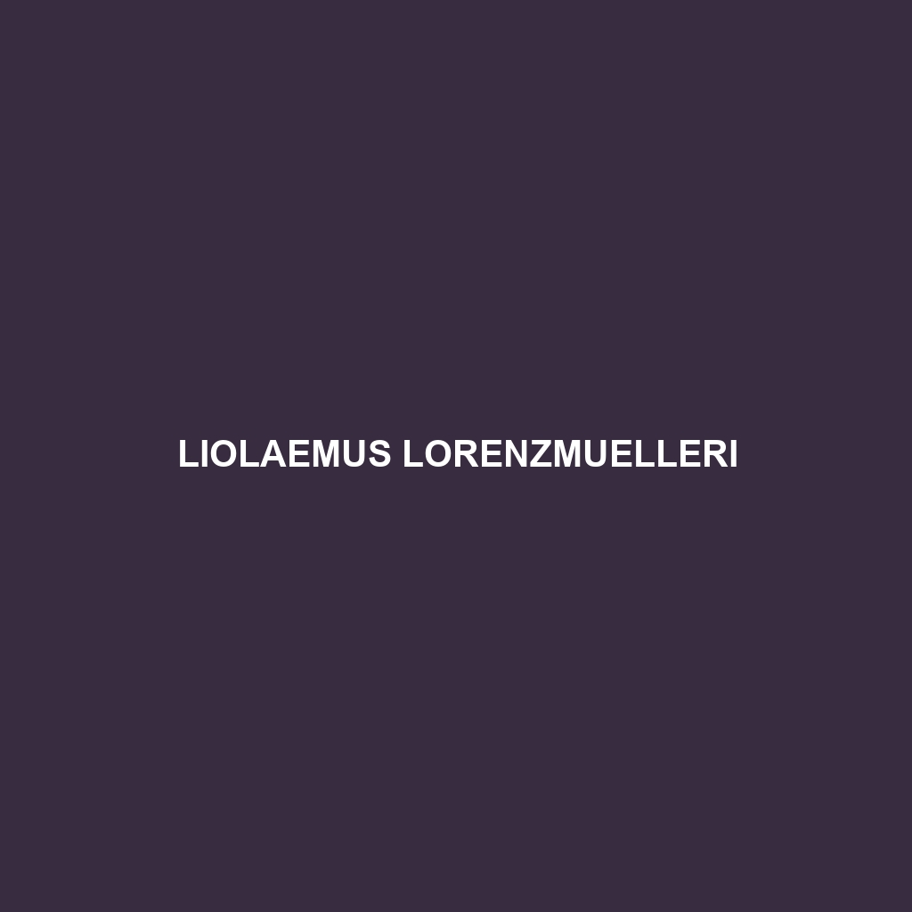 Liolaemus lorenzmuelleri