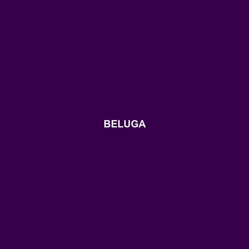 Beluga