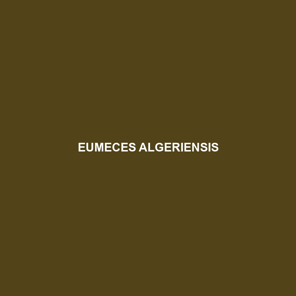 Eumeces algeriensis