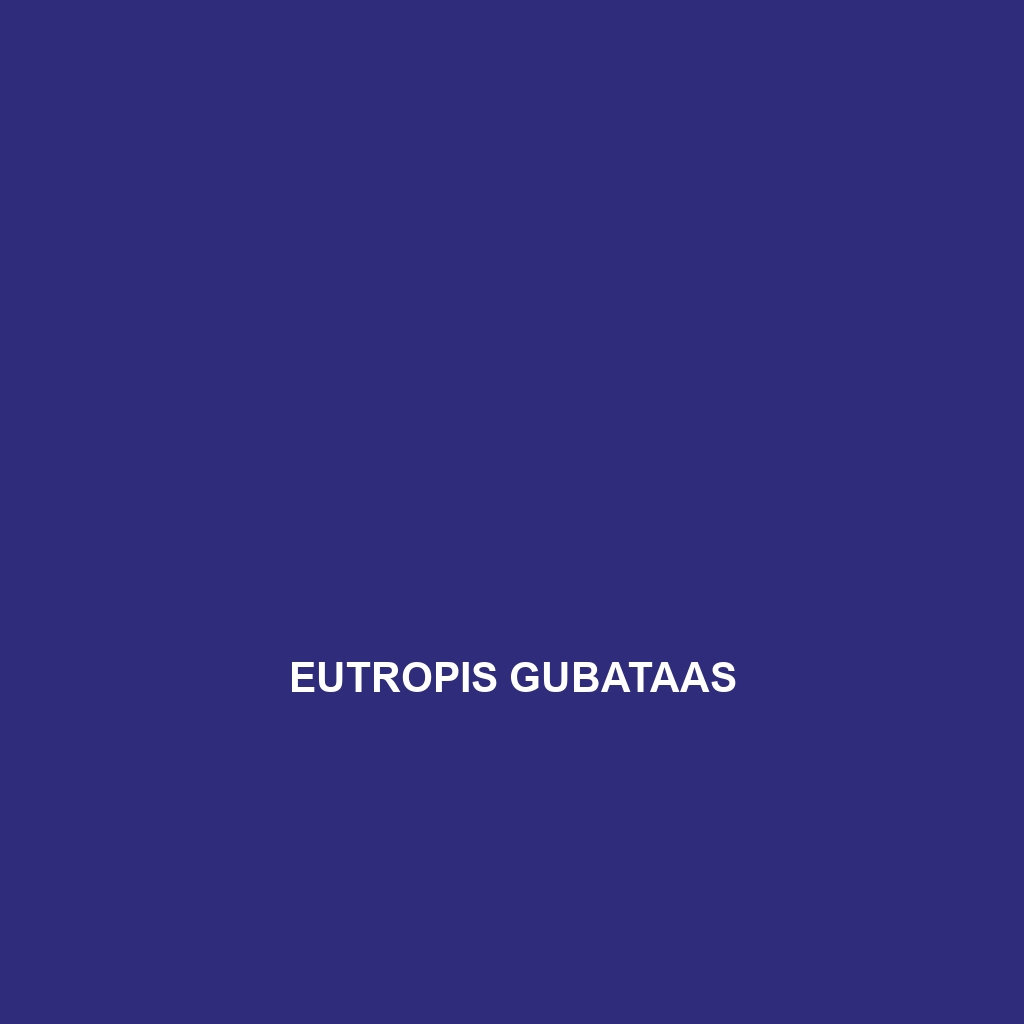 Eutropis gubataas