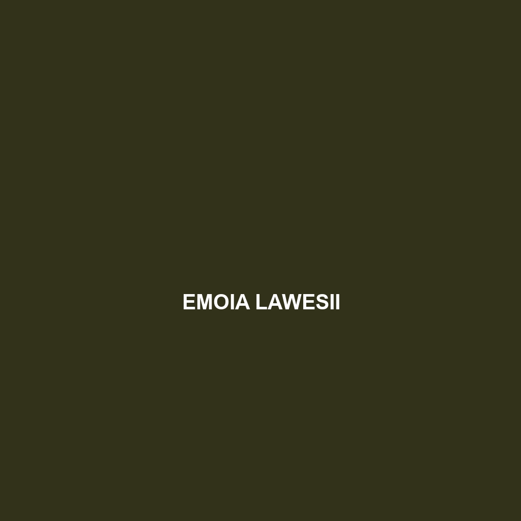 Emoia lawesii