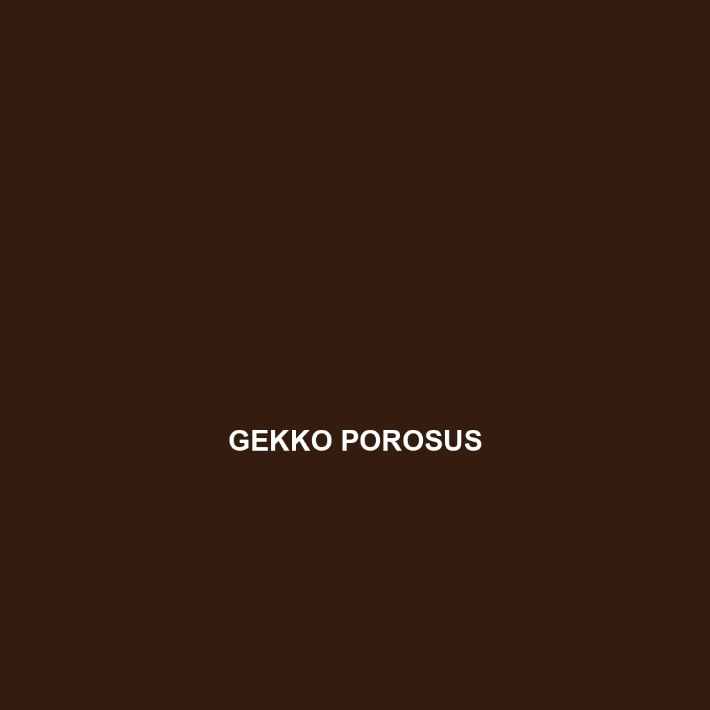 Gekko popaense