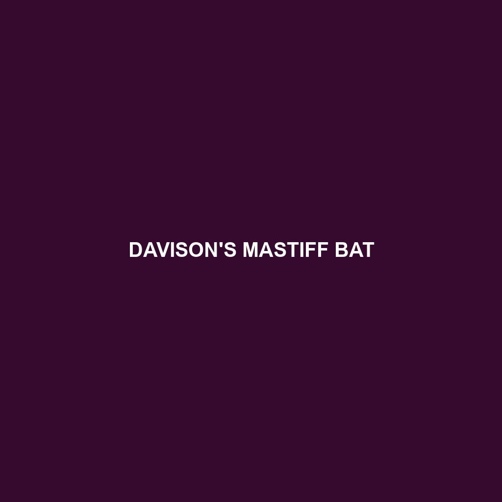 Davison's Mastiff Bat