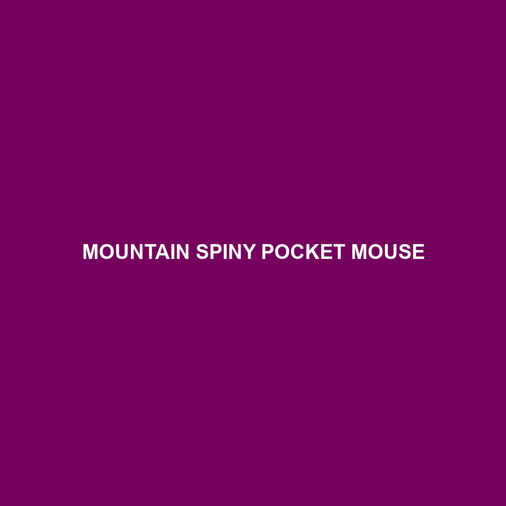 Mountain Spiny Pocket Mouse