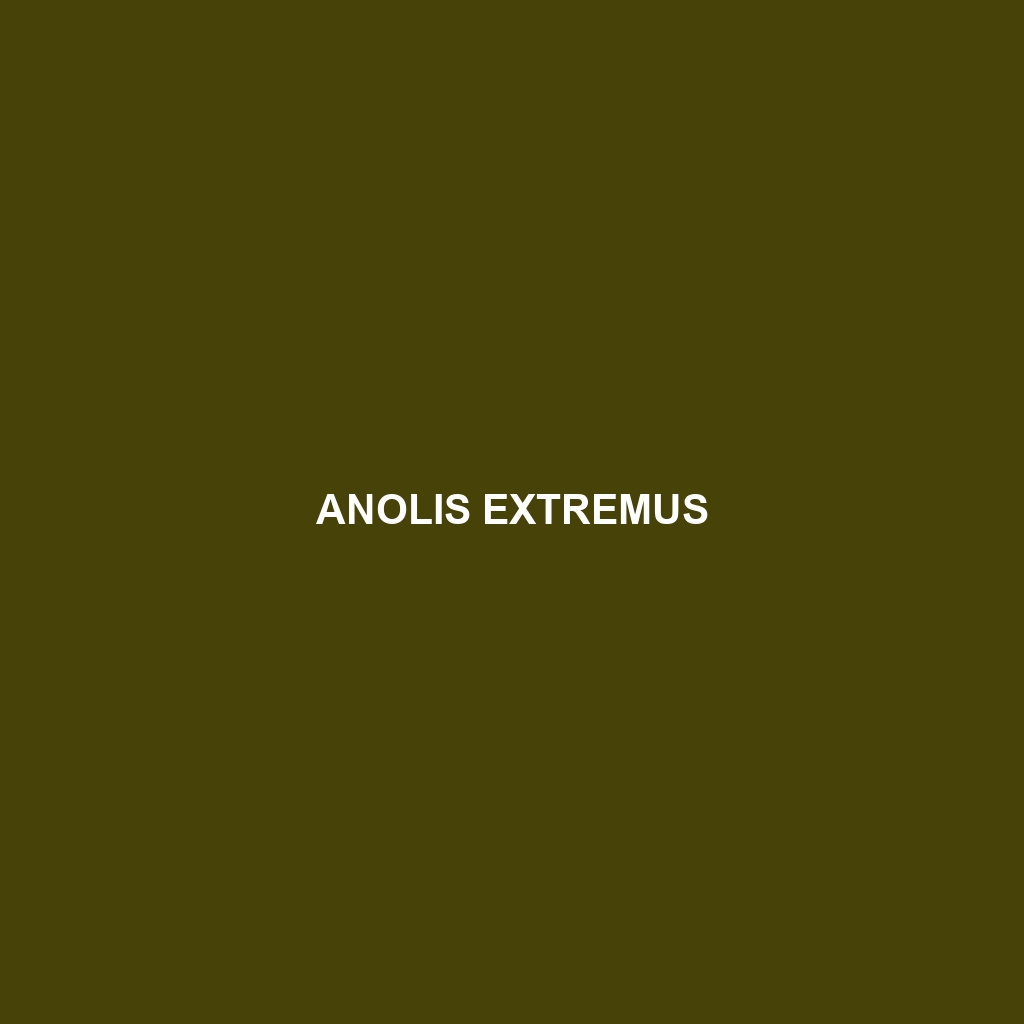 Anolis extremus