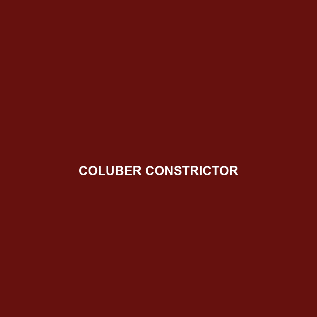 Coluber constrictor