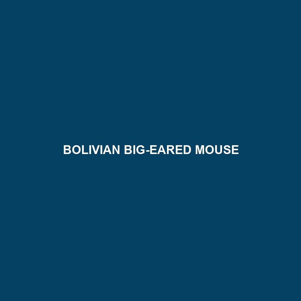 Bolivian Big-eared Mouse