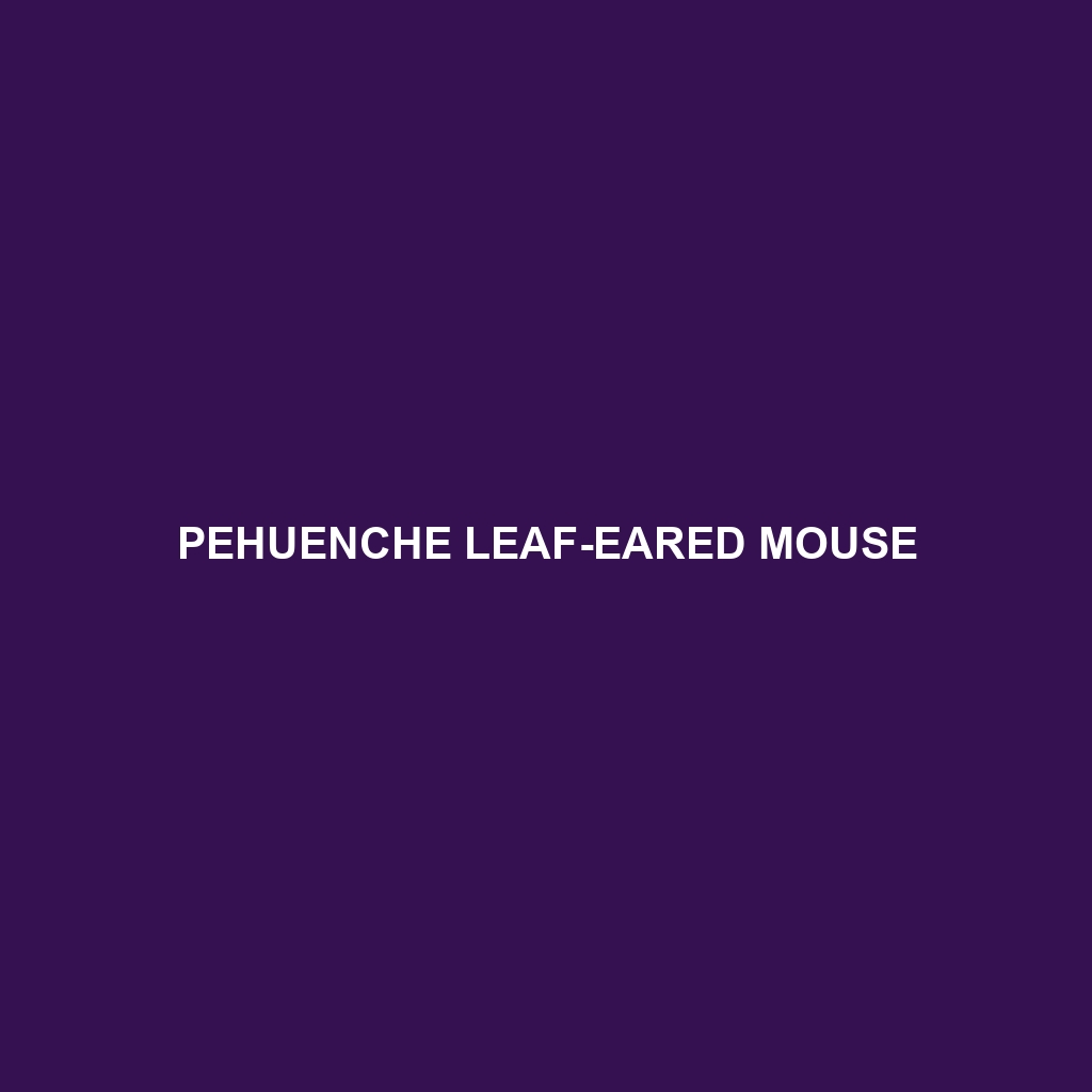 Pehuenche Leaf-eared Mouse