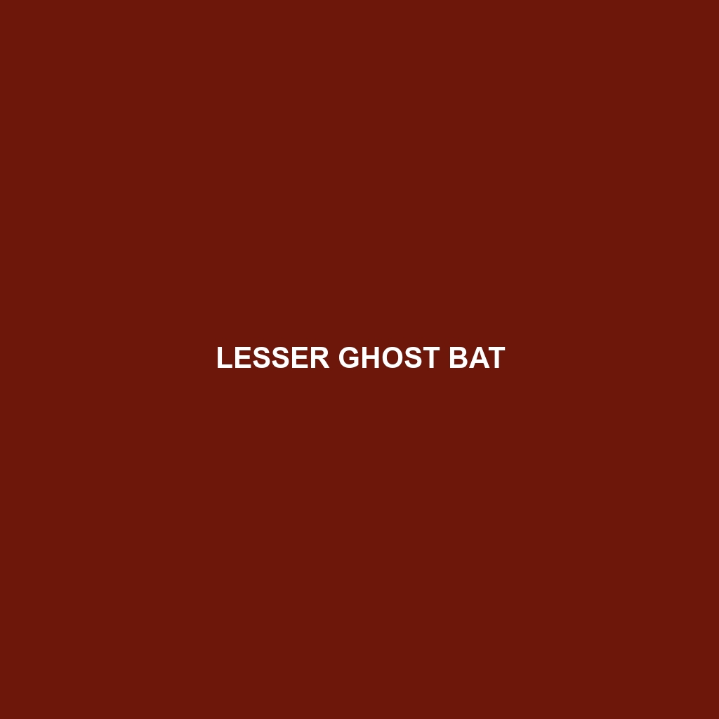 Lesser Ghost Bat