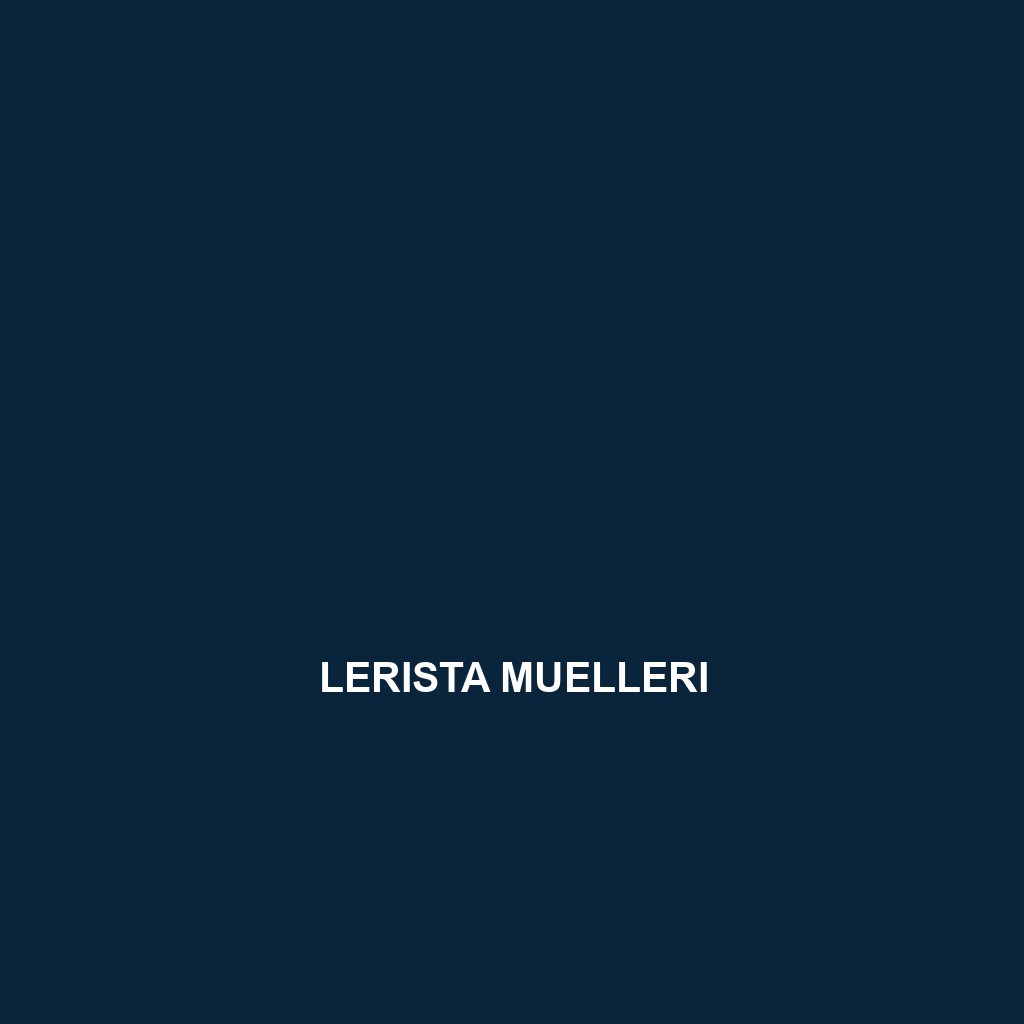 Lerista muelleri