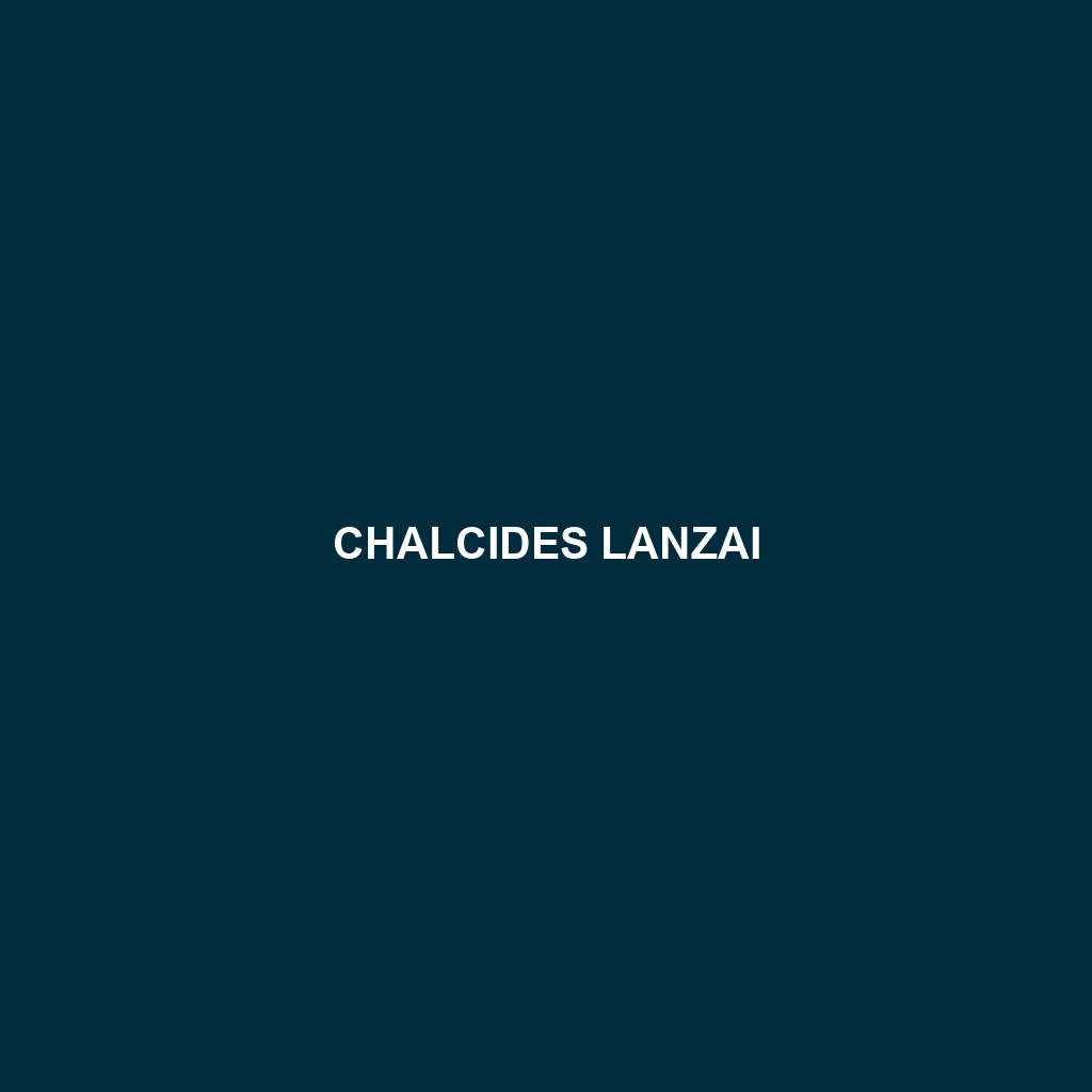 Chalcides lanzai