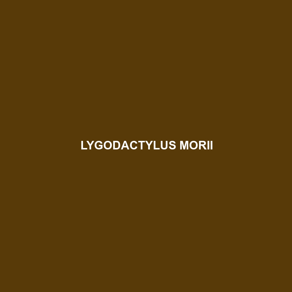 Lygodactylus morii