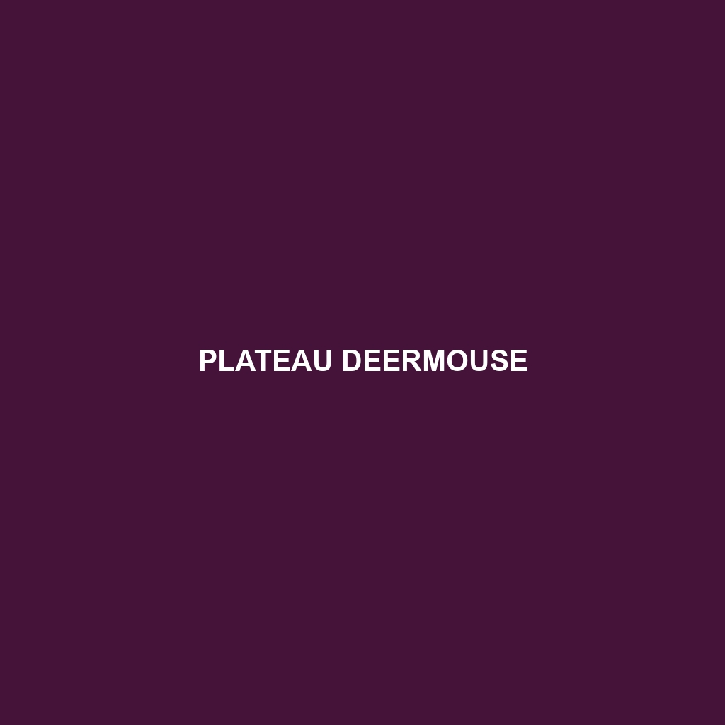 Plateau Deermouse