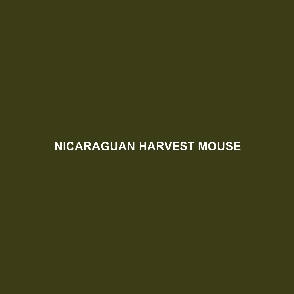 Nicaraguan Harvest Mouse