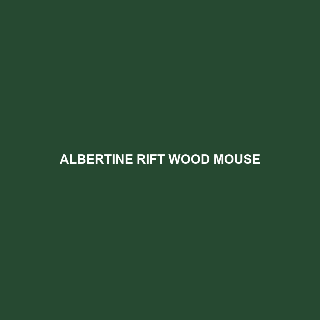 Albertine Rift Wood Mouse