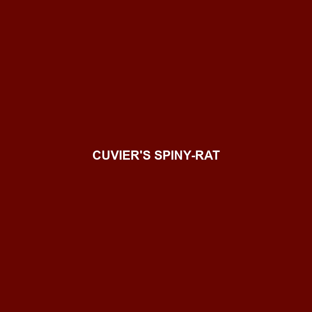 Cuvier's Spiny-rat