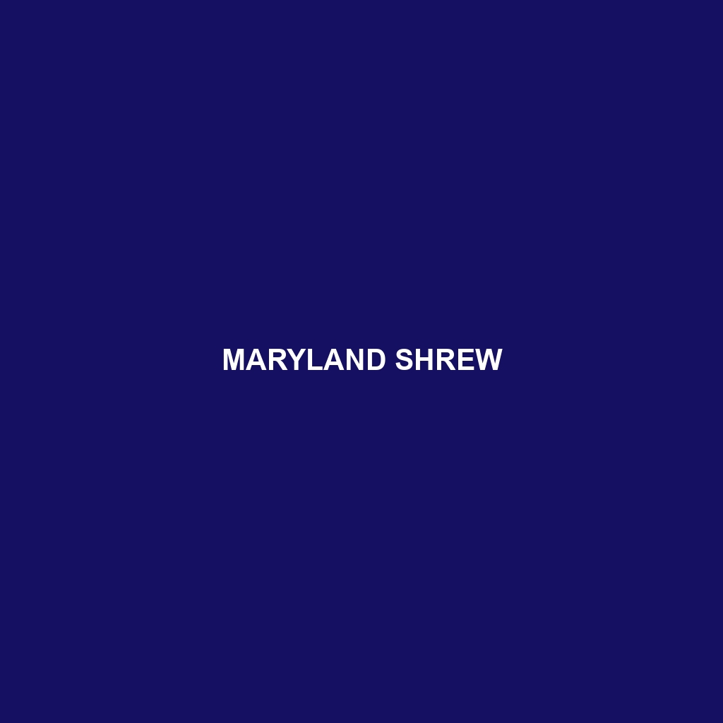 Maryland Shrew