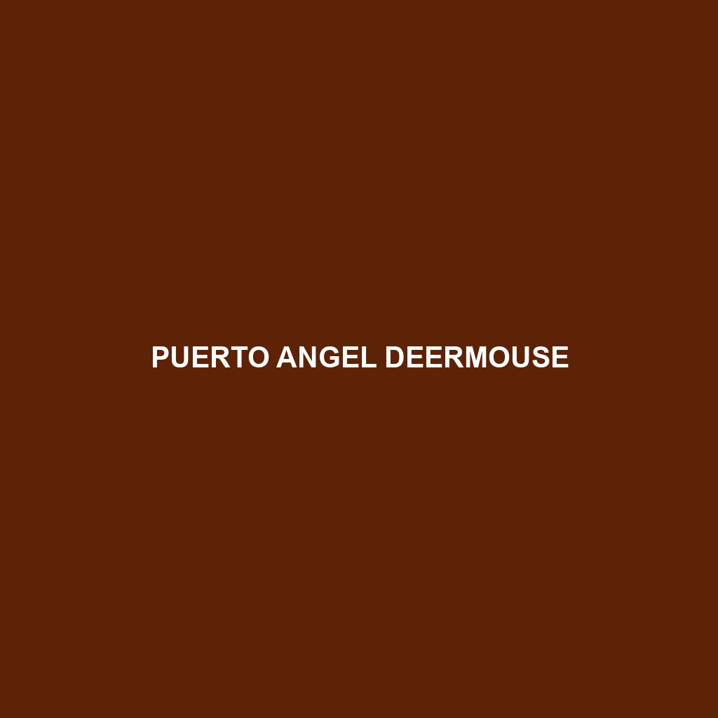 Puerto Angel Deermouse