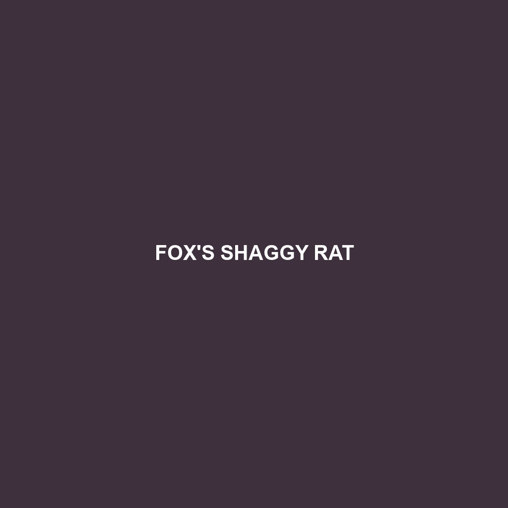 Fox's Shaggy Rat