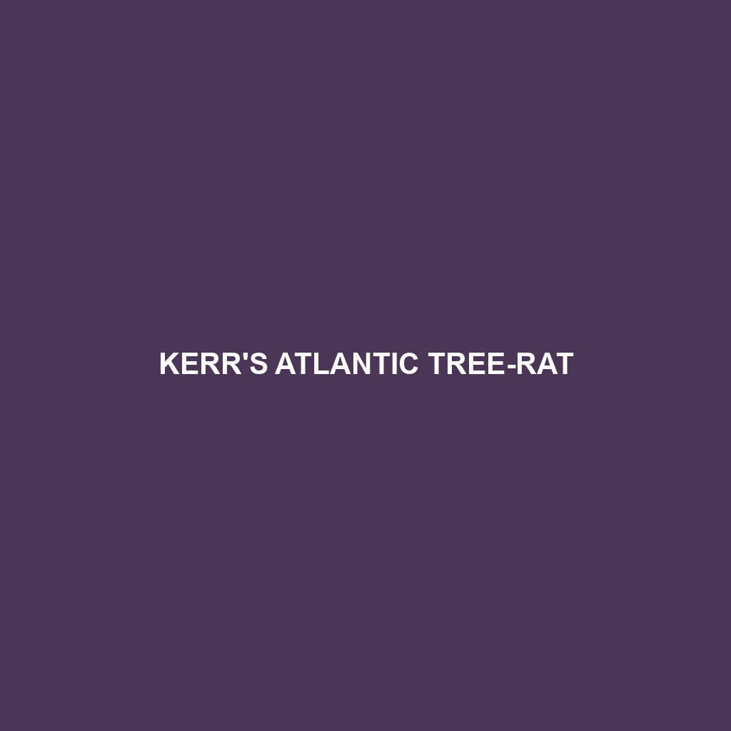 Kerr's Atlantic Tree-rat