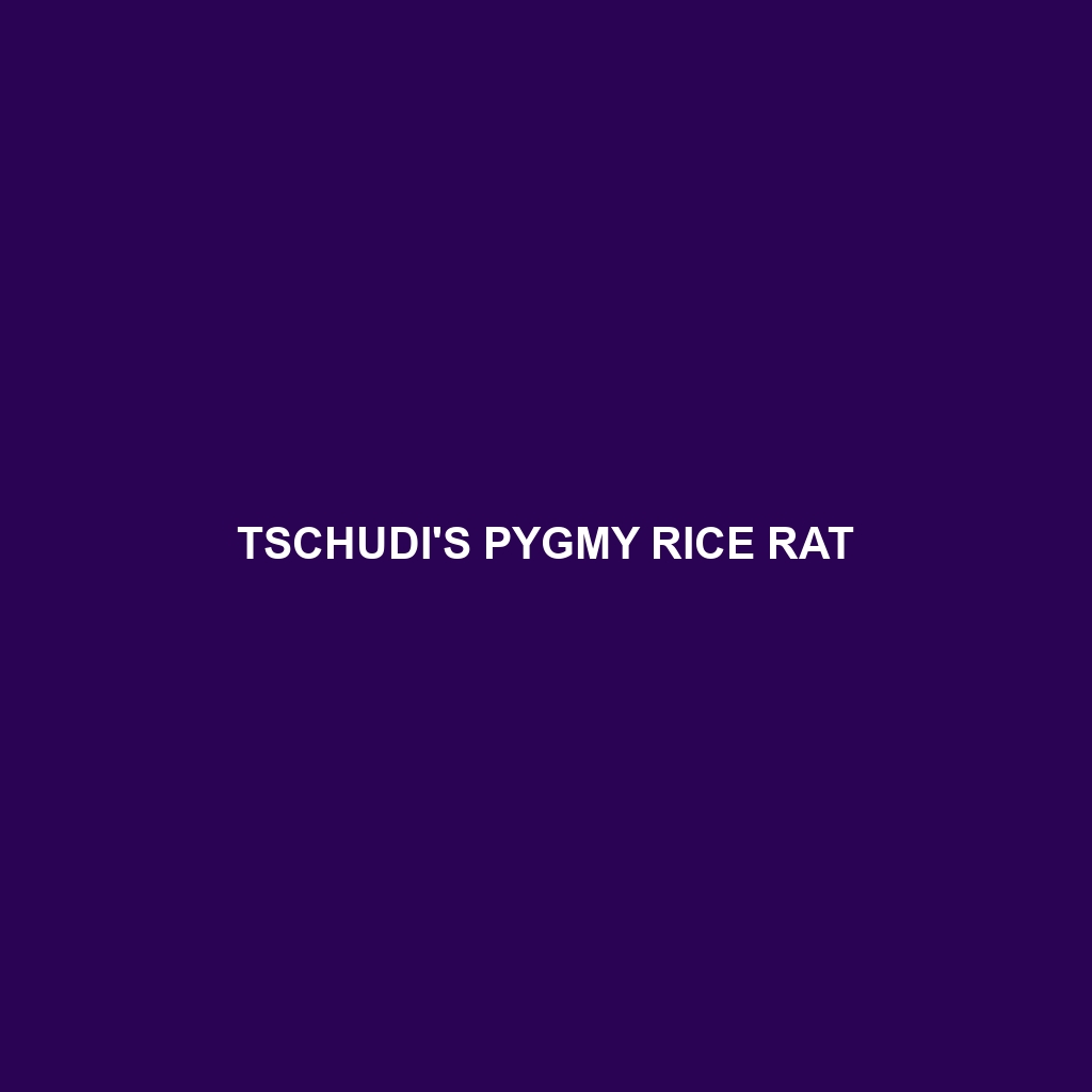 Tschudi's Pygmy Rice Rat