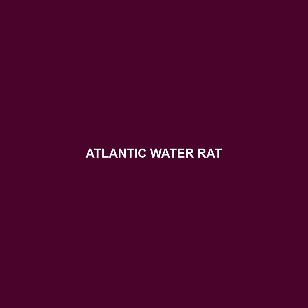 Atlantic Water Rat