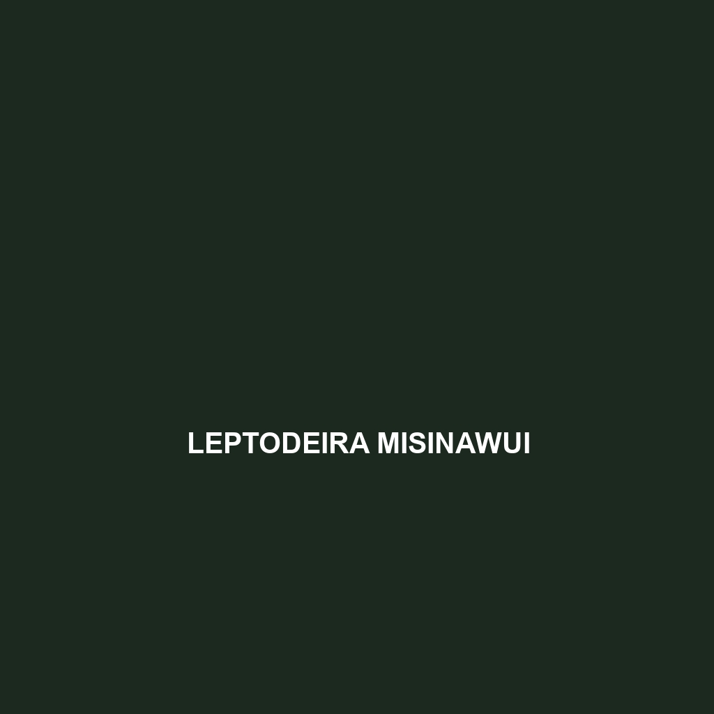 Leptodeira misinawui