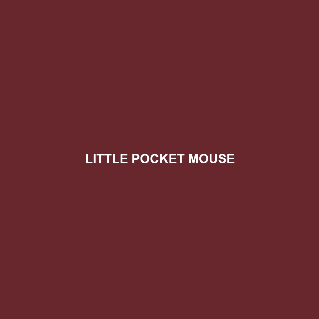 Little Pocket Mouse